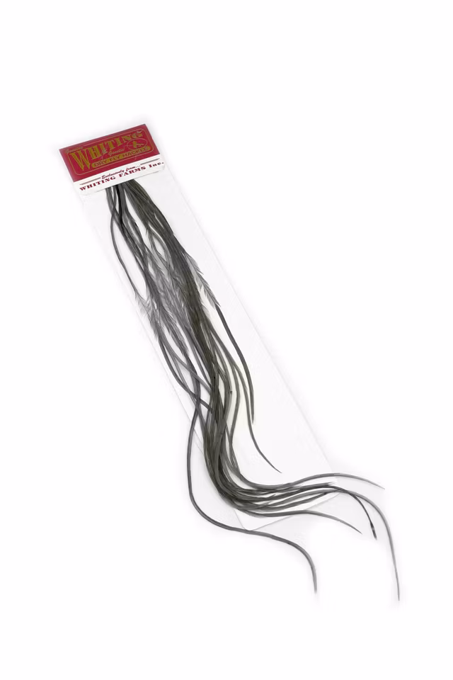 WHITING 100 PK SIZE 10