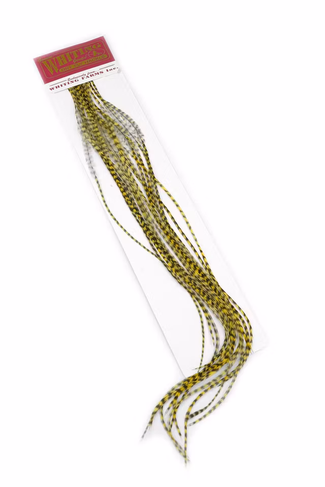 WHITING 100 PK SIZE 12