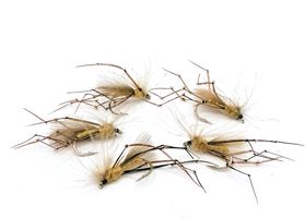 Harkrank CDC Daddy Long Leg #10