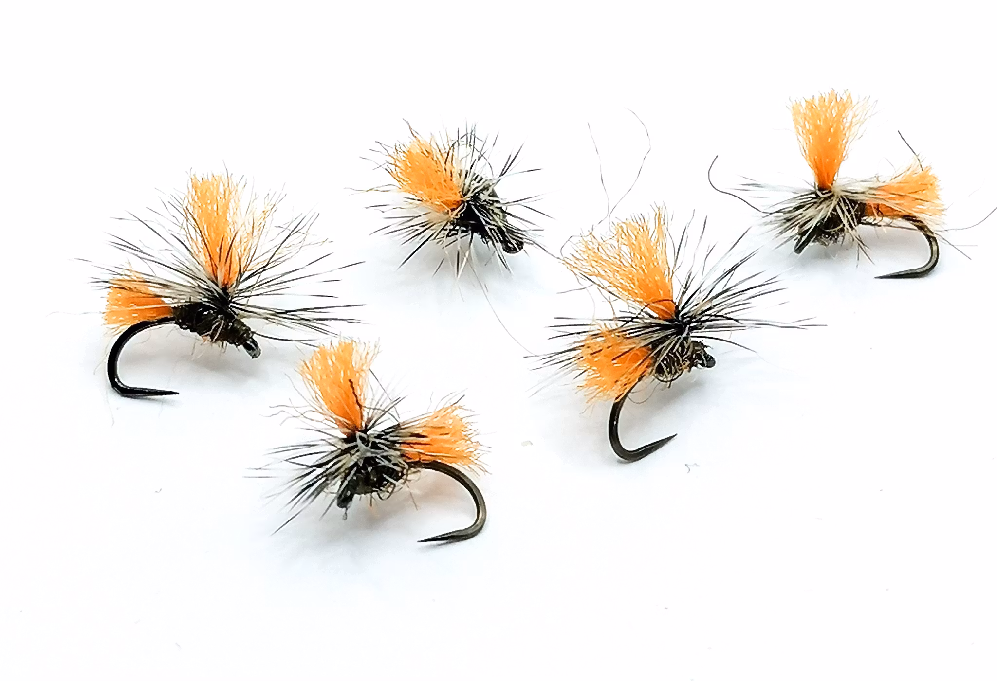 Dynamitharry Burnt Orange