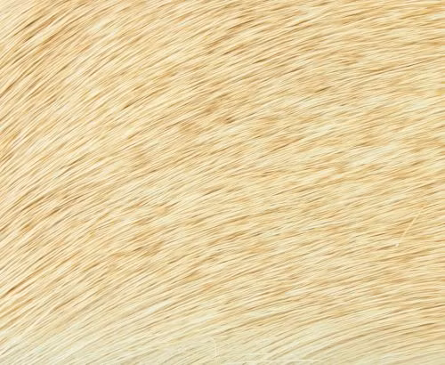 Natures Spirit Select Cow Elk