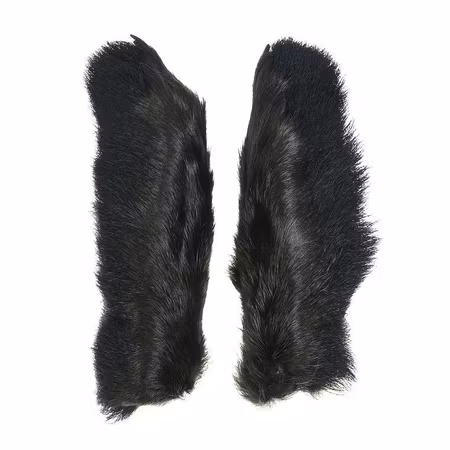 Hares Feet Wapsi