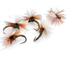 Klinkhammer Olive Biot #14