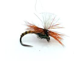 Klinkhammer Olive Biot #14