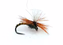 Klinkhammer Olive Biot #14