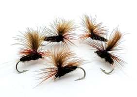 Dark Brown Baetis #14