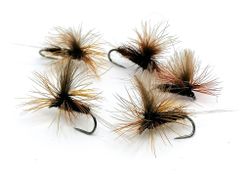 Mörk Brun Dagslända  #14