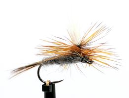 Adams Parachute #14