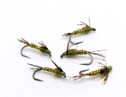 Nymph thin Olive Gold Rib #14
