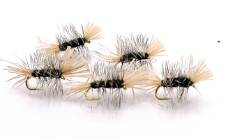 Dyret Black  #14