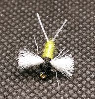 Golden Olive Spent Spinner #14