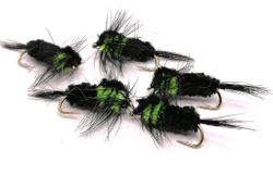Montana Green #10