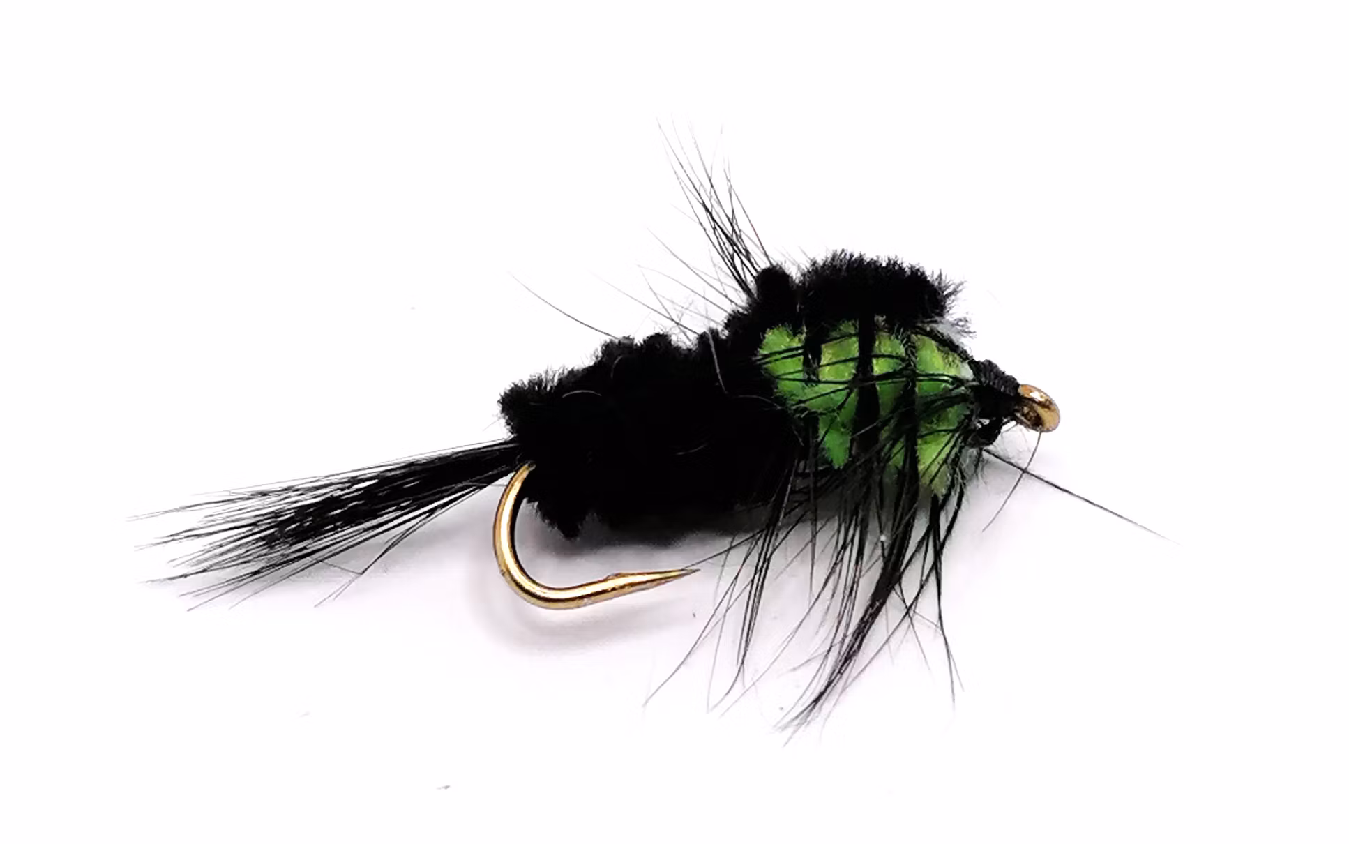 Montana Green #10