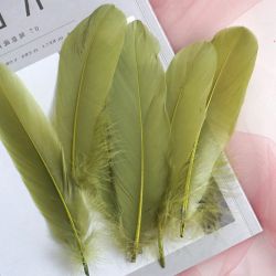 Natural Goose Dyed