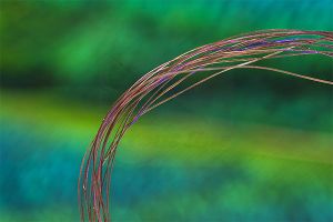 Troutline UV Micro Ribbing Quill
