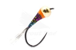 Tactical Black Warrior Perdigon BL # 16