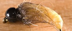 Caddis Skin