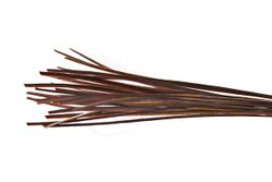 Troutline Hand Selected Stripped Peacock Quill