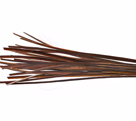 Troutline Hand Selected Stripped Peacock Quill
