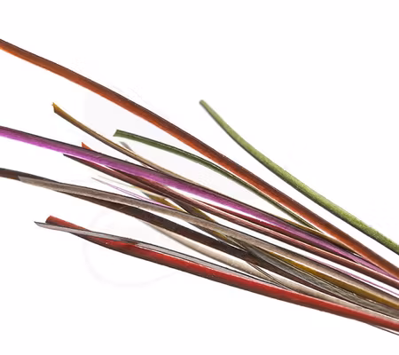 Troutline Hand Selected Stripped Peacock Quill