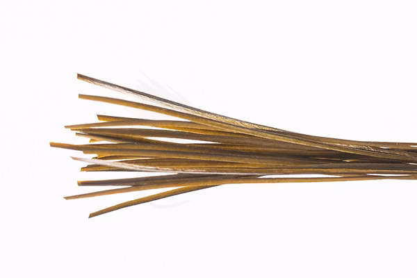 Troutline Hand Selected Stripped Peacock Quill