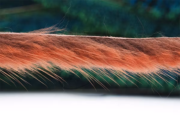 Troutline Weasel Zonkers -strips of 3mm