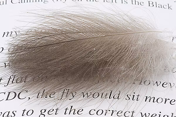 Troutline CDC Size Selected Feathers Natural Grey