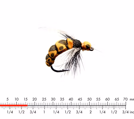 J:son Wasp Black Yellow #12