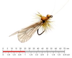 J:son Caddis Adult Cinnamon Brown 1