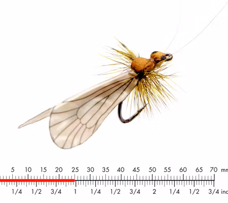 J:son Caddis Adult Cinnamon Brown 1