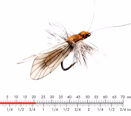 J:son Caddis Adult Cinnamon Brown 1