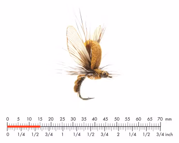 Mayfly Emerger Olive Brown 3 #14 J:son