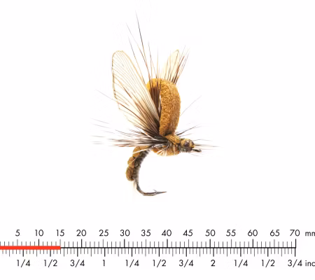 J:son Mayfly Emerger Olive Brown 3 #14