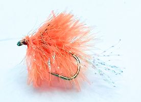 Blob Fly Fl. Orange Flashtail #12
