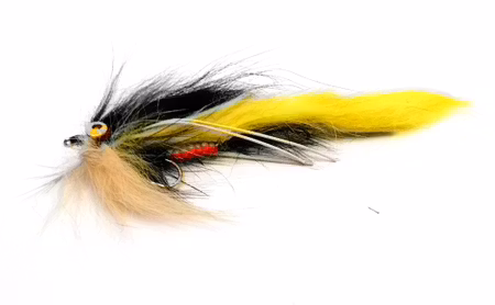 Strip Tiger Yellow Black #6
