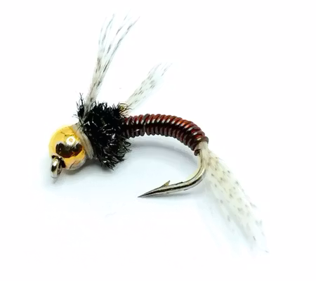 Jolly Silver Copper BH #14