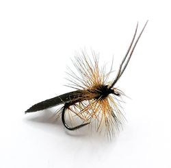 Brown Horned Roof Wing #14