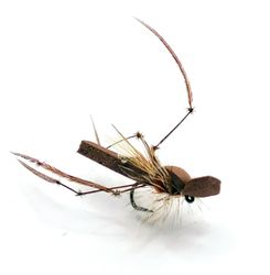 Daddy Long Leg Brown Foam #16