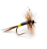 Adams Female #14