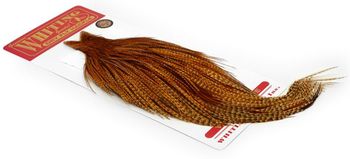 Whiting Bronze Grade Nacke Barred Dark Ginger