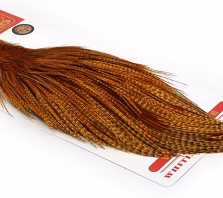 Whiting Bronze Grade Nacke Barred Dark Ginger