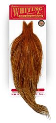 Whiting Bronze Grade Nacke Barred Dark Ginger