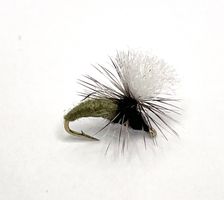 Klinkhammer Olive #14