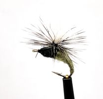 Klinkhammer Olive #14