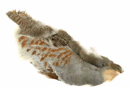 Hungarian Partridge Half Skin Natural Rapphöna Wapsi