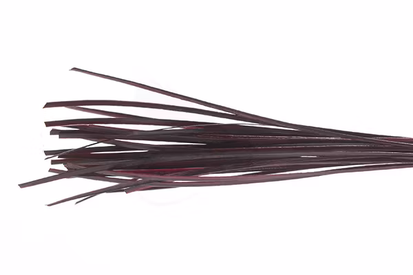Troutline Hand Selected Stripped Peacock Quill