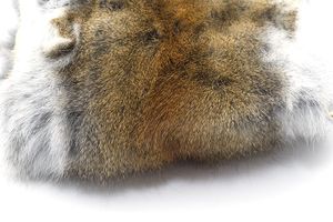 Eastern Grey Squirrel Skin Tanned