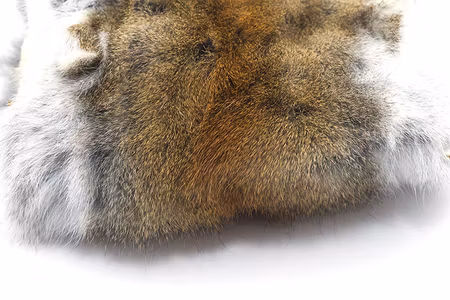 Eastern Grey Squirrel Skin Tanned