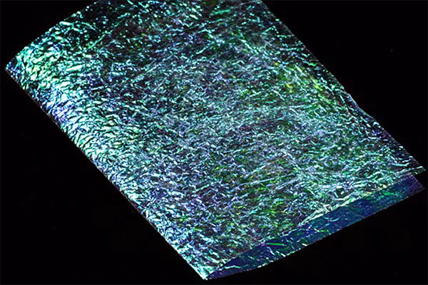 Troutline Flashback Plus Foil