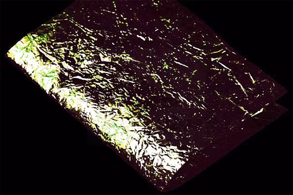 Troutline Flashback Plus Foil